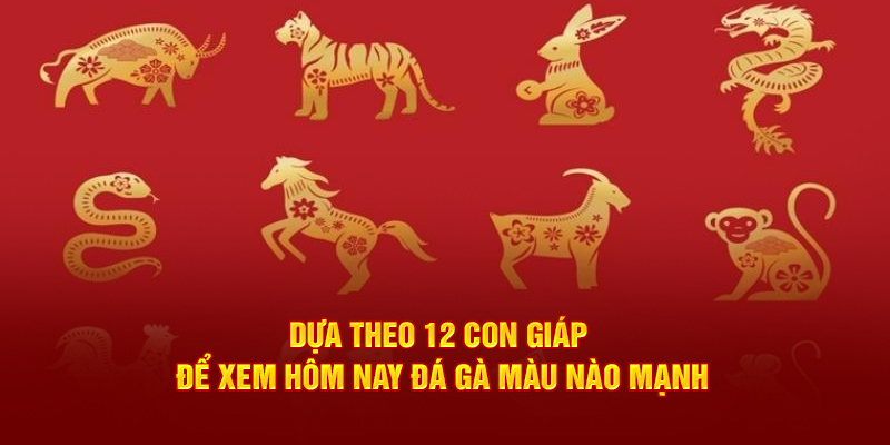 Dựa theo 12 con giáp để xem hôm nay đá gà màu nào mạnh